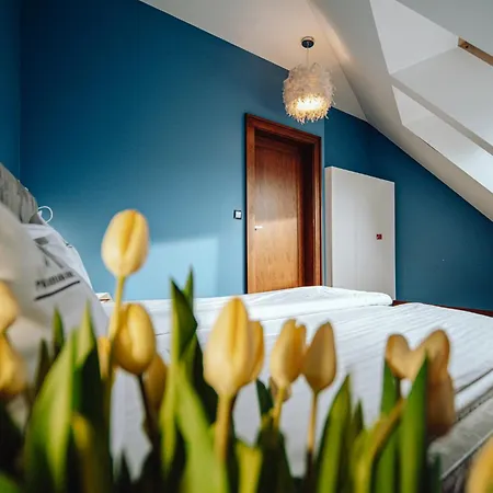Apartmán Apartamentowiec Panorama Gor Center Family&pet-friendly